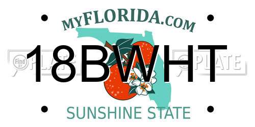 18BWHT Florida License Plate