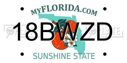 18BWZD Florida License Plate