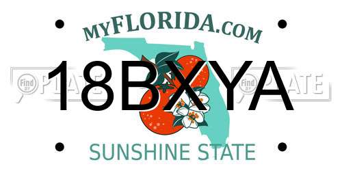 18BXYA Florida License Plate