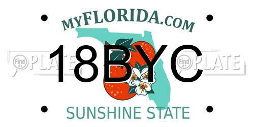 18BYC Florida License Plate