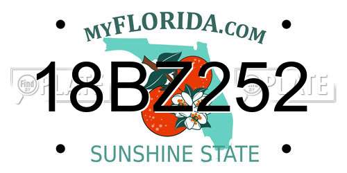 18BZ252 Florida License Plate