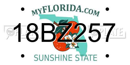 18BZ257 Florida License Plate