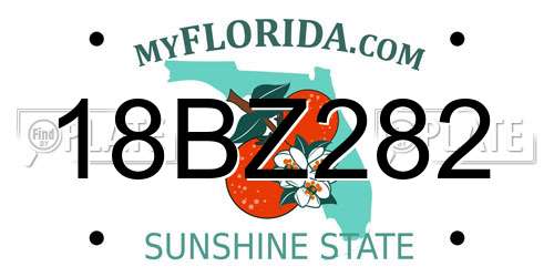 18BZ282 Florida License Plate