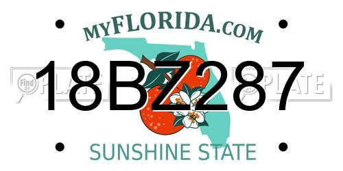18BZ287 Florida License Plate