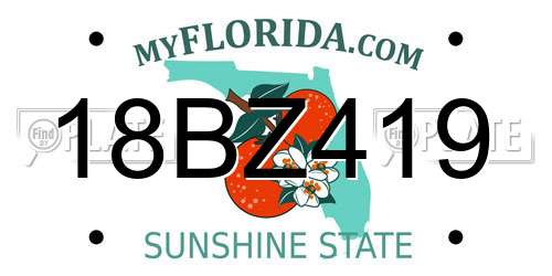 18BZ419 Florida License Plate