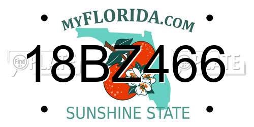 18BZ466 Florida License Plate