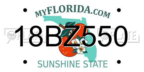 18BZ550 Florida License Plate