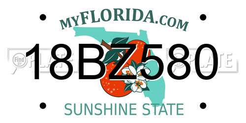 18BZ580 Florida License Plate