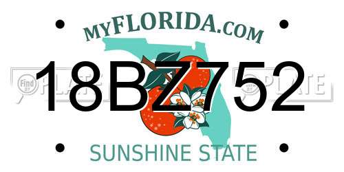 18BZ752 Florida License Plate