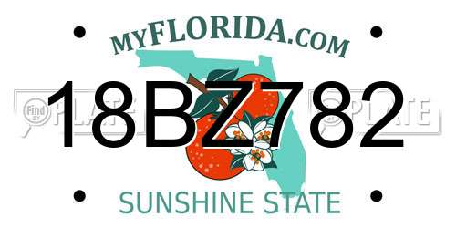18BZ782 Florida License Plate