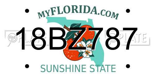 18BZ787 Florida License Plate