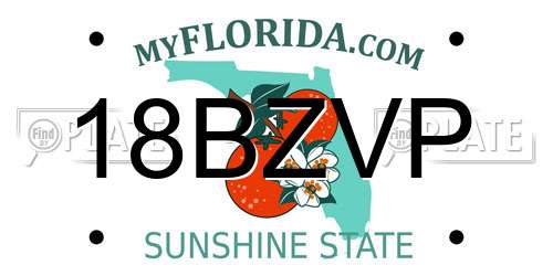 18BZVP Florida License Plate