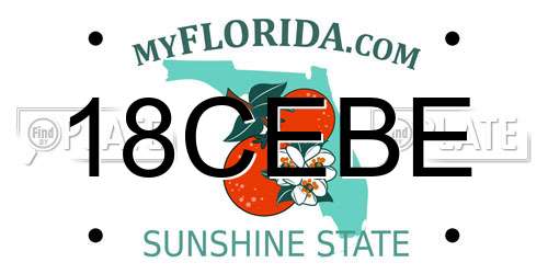 18CEBE Florida License Plate