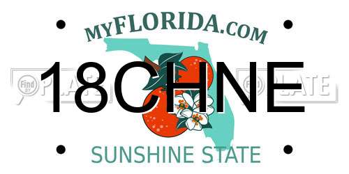 18CHNE Florida License Plate
