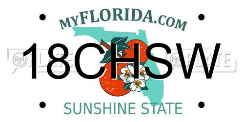 18CHSW Florida License Plate