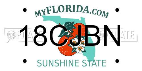 18CJBN Florida License Plate