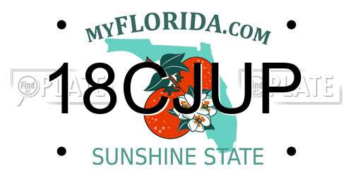 18CJUP Florida License Plate