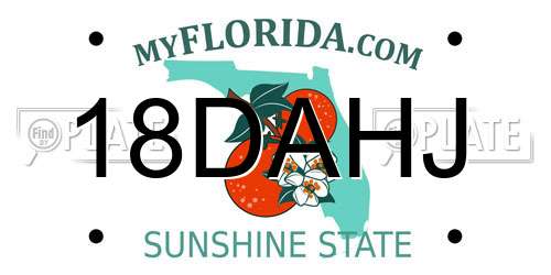 18DAHJ Florida License Plate