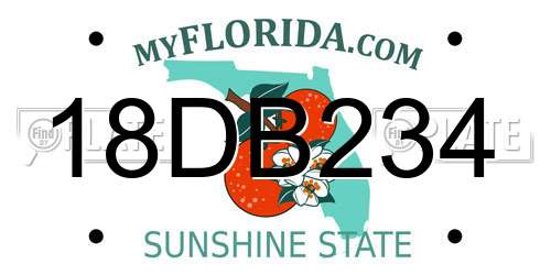 18DB234 Florida License Plate