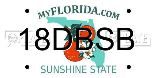 18DBSB Florida License Plate