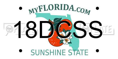 18DCSS Florida License Plate