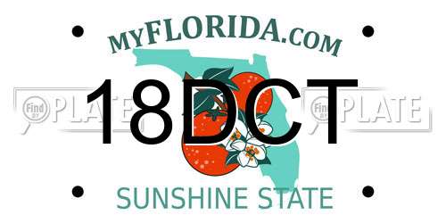18DCT Florida License Plate