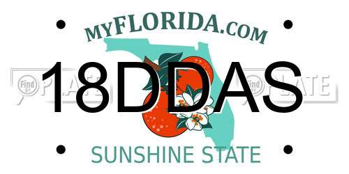 18DDAS Florida License Plate