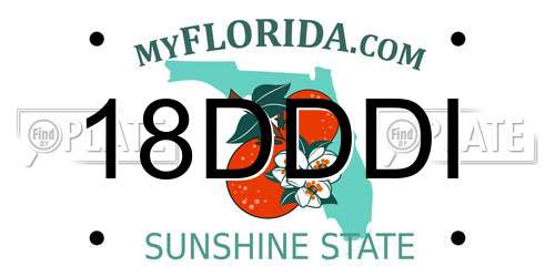 18DDDI Florida License Plate