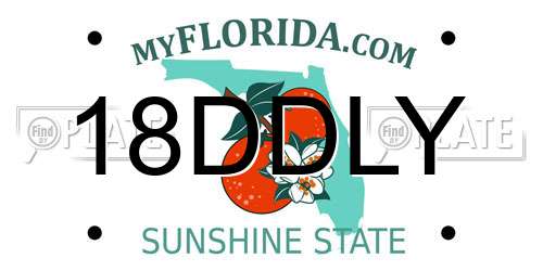 18DDLY Florida License Plate