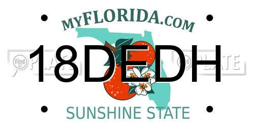 18DEDH Florida License Plate