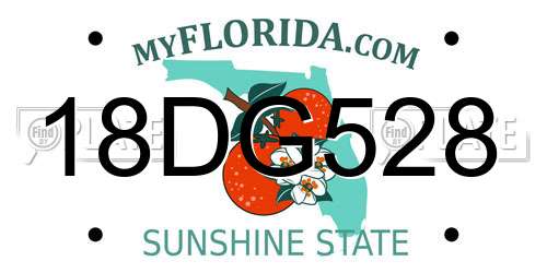 18DG528 Florida License Plate