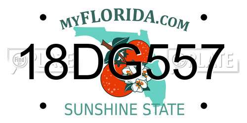 18DG557 Florida License Plate