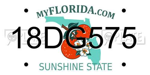 18DG575 Florida License Plate