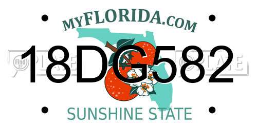 18DG582 Florida License Plate