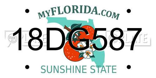18DG587 Florida License Plate