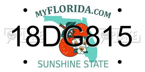 18DG815 Florida License Plate
