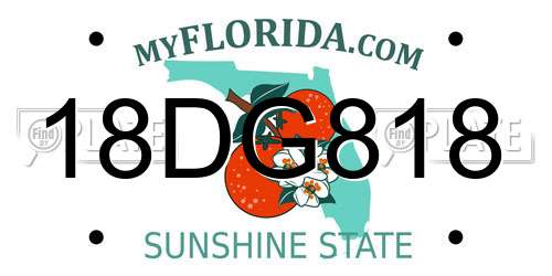 18DG818 Florida License Plate