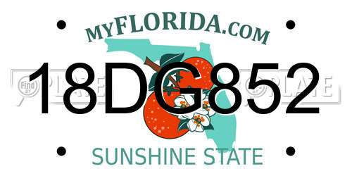 18DG852 Florida License Plate
