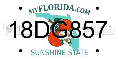 18DG857 Florida License Plate