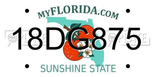 18DG875 Florida License Plate