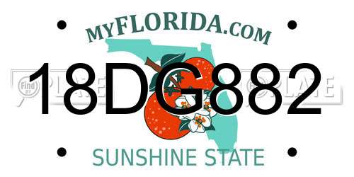 18DG882 Florida License Plate
