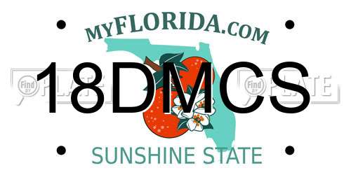 18DMCS Florida License Plate