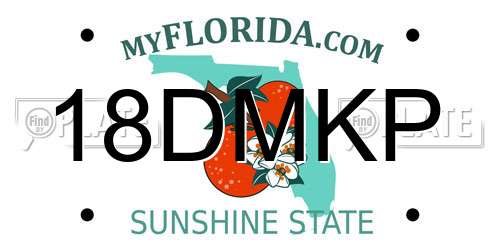 18DMKP Florida License Plate