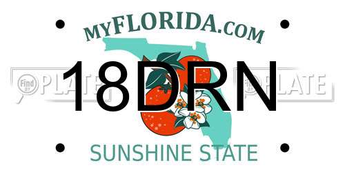 18DRN Florida License Plate