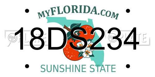 18DS234 Florida License Plate
