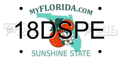 18DSPE Florida License Plate