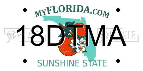 18DTMA Florida License Plate