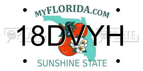 18DVYH Florida License Plate