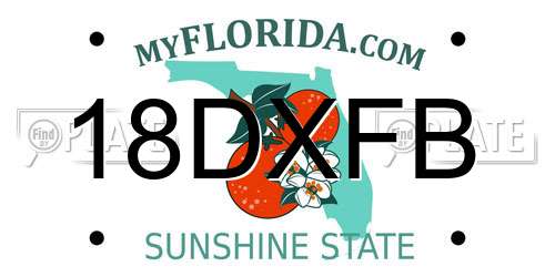 18DXFB Florida License Plate