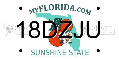 18DZJU Florida License Plate
